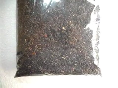 hobimmarket.com, kuş yemi, kuşyemi, kuş yemleri,kuş maması, kanarya yemi, kanarya yemleri, nijer tohumu,nijer tohumu fiyatları