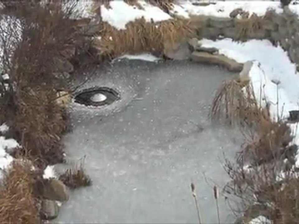 2012-01-04 - L'étang