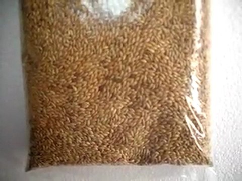 hobimmarket.com, kuş yemi, kuşyemi, kuş yemleri,kuş maması, kanarya yemi, kanarya yemleri, güvercin yemi, papağan yemi, papağan yemleri,darı, darı fiyatları