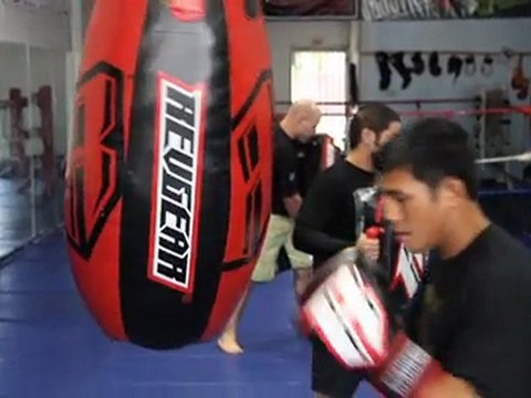 Revgear Platinum Leather Boxing Glove - Combat ...