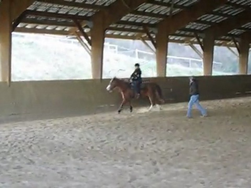 Equitation Western