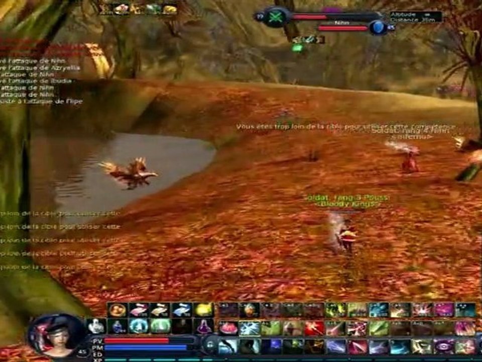 aion rift 45 - un monde de chats