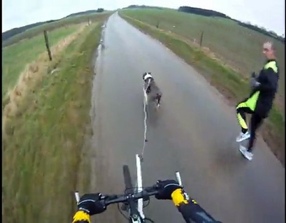 Bike joring training