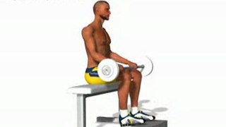 Seated barbell calf raise exercise