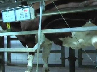 L'apprentissage : entre théorie et pratique au Centre d'Elevage de Poisy