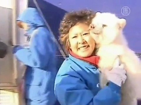 Twin Polar Bear Cubs Debut in China's Liaoning Province