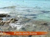 La spiaggia di Punta della Suina (Gallipoli) - ApuliaTV alla scoperta della Puglia -