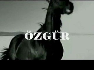 Laressa Yatak - www.laressa.com.tr - Yukon ( At Kılı Organik Paket Yaylı Yatak )