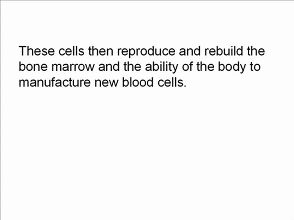 Stem Cell Treatment vs Diet For Diabetes