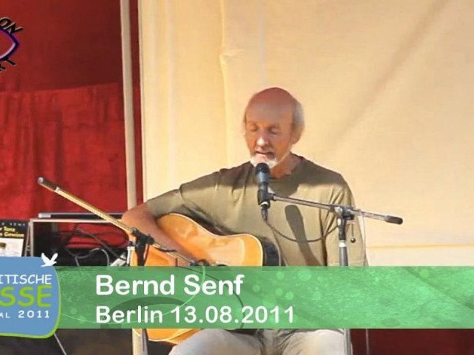 Bernd Senf - Wo sind die Milliarden hin? Kritische Masse Festival 2011