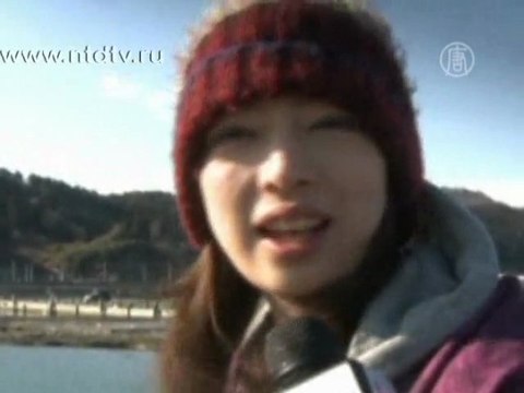 Японцы едут к сосне, выстоявшей во время цунами