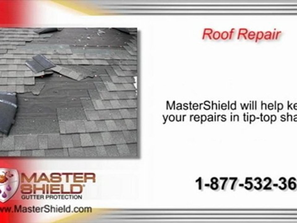 MasterShield Gutter Cover