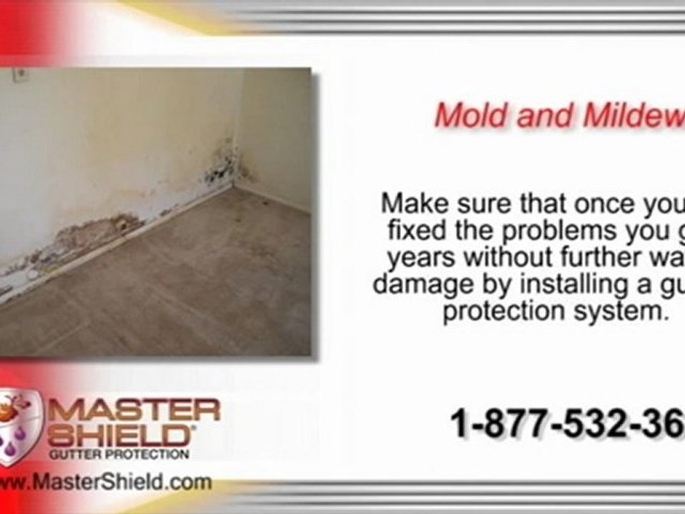 MasterShield Gutter Cover