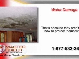 MasterShield Gutter Covers