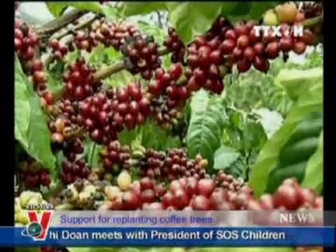 BẢN TIN TIẾNG ANH 04.01.2012 TRUYỀN HÌNH THÔNG TẤN, TTXVN, VNEWS, VNA, THỜI SỰ