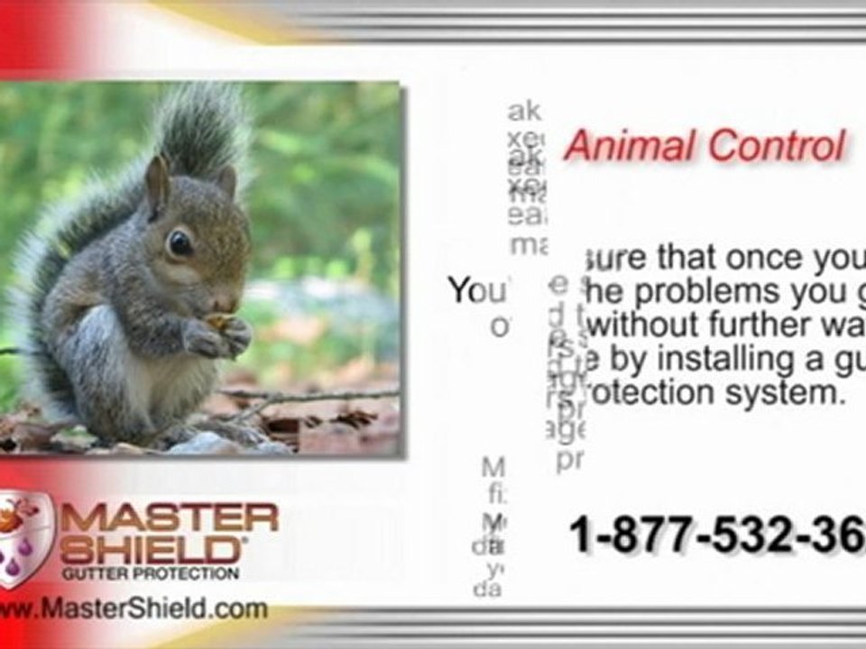 MasterShield Gutter Protection