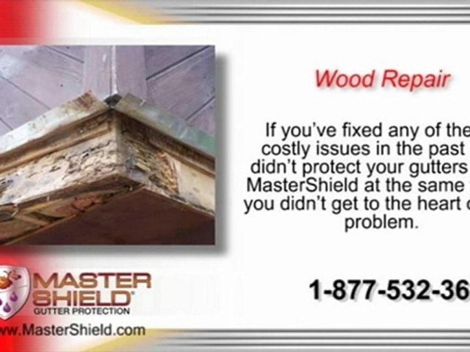 MasterShield Leaf Guard