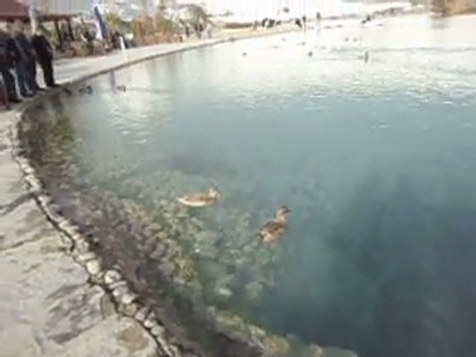 MOV04212