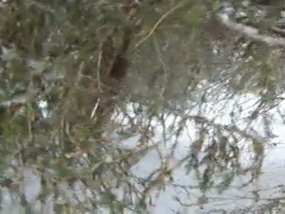 Ski hors piste à Saint Gervais