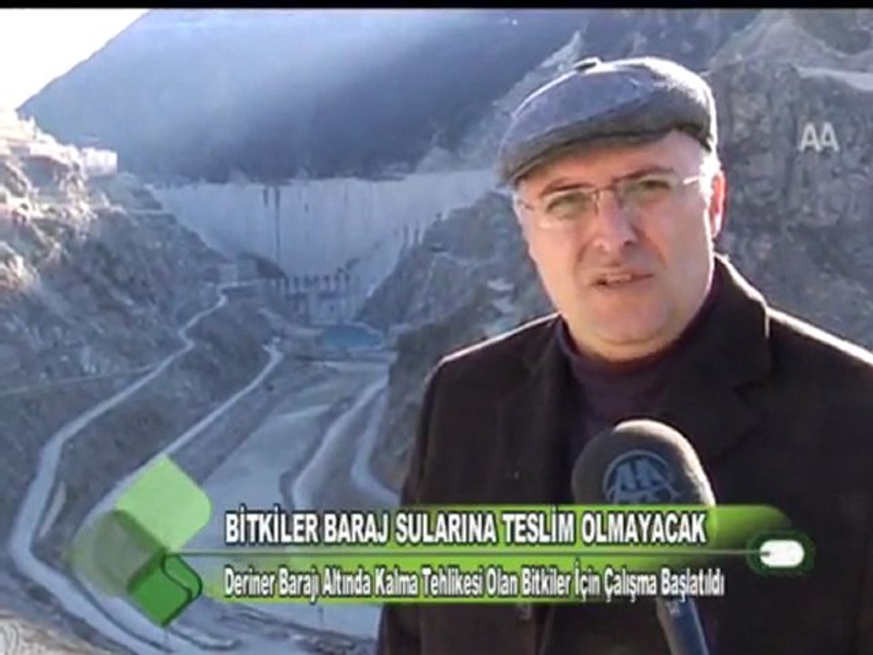 BİTKİLER BARAJ SULARINA TESLİM OLMAYACAK 16.12.2011