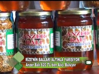 RİZE'NİN BALLARI ALTINLA YARIŞIYOR 16.12.2011