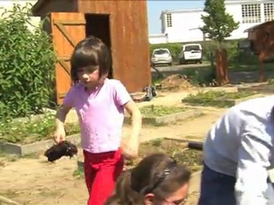 à l'école du compost à Nantes (3/4:le jardin)