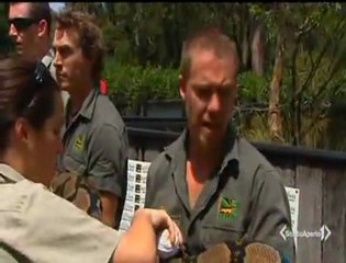 Dünya'nın En Uzun Boylu Piton Yılanı