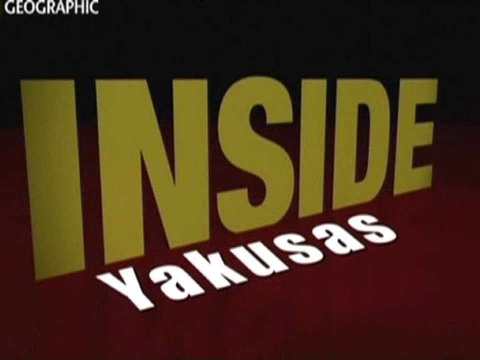 INSIDE: les yakusas