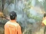 Varios incendios forestales asolan el sur de Chile