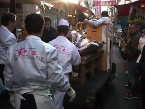 Japon : un thon rouge vendu 565.000€