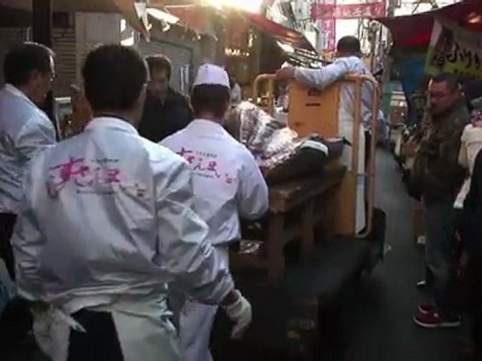 Japon : un thon rouge vendu 565.000€