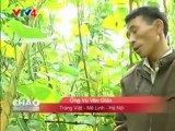 VTV4 - Chế Phẩm Sinh Học Vườn Sinh Thái - Phân bón sinh học thế hệ mới - Trồng rau sạch