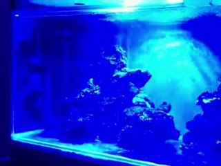 rampe led satisled bleu