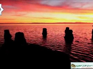 سورة النبأ... بصوت توفيق الصايغ