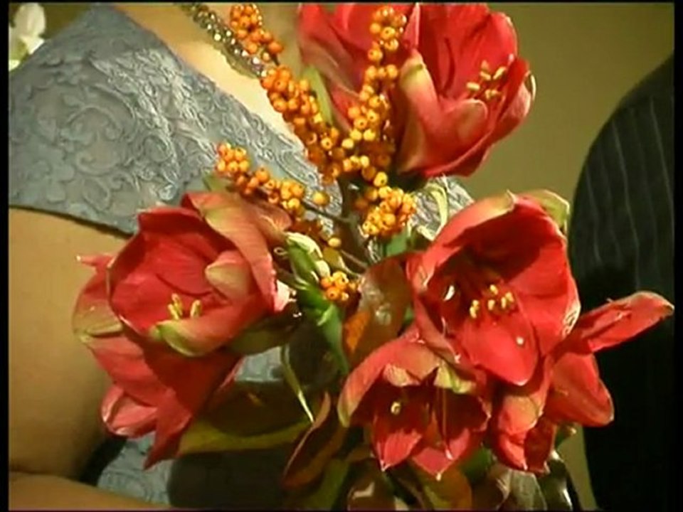 PanTV zinios 2012 01 05.avi