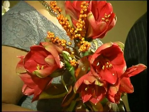 PanTV zinios 2012 01 05.avi