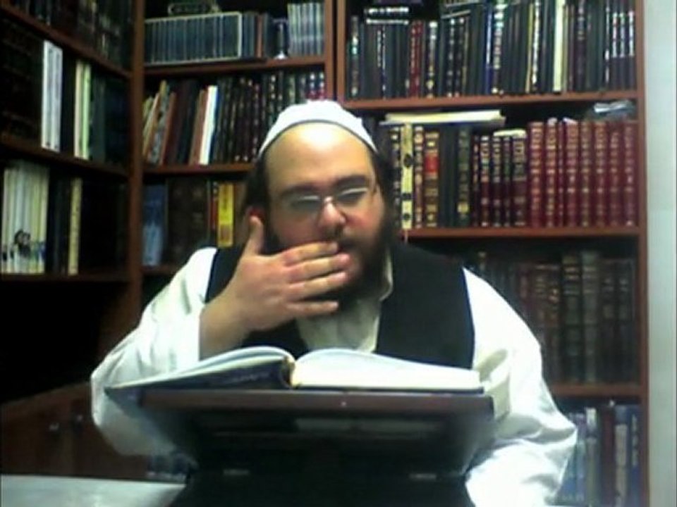 L'essentiel de Breslev - Les Tehilim