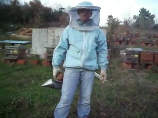 ANASIZ ARI NASIL BELLİ OLUR?