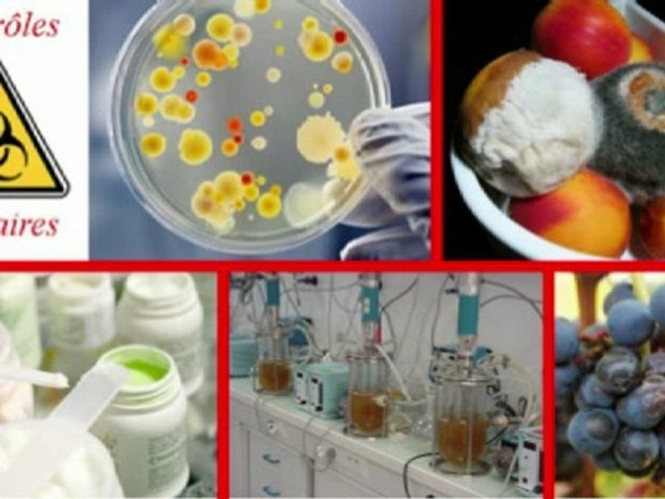 Présentation des sections biotechnologiques