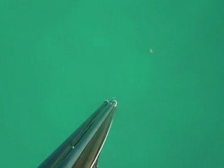 Av'ın özü... 03.01.2012