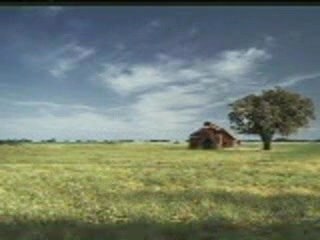 Pub humour - Tabasco