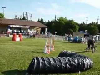 Brownie et les départs - toute une histoire