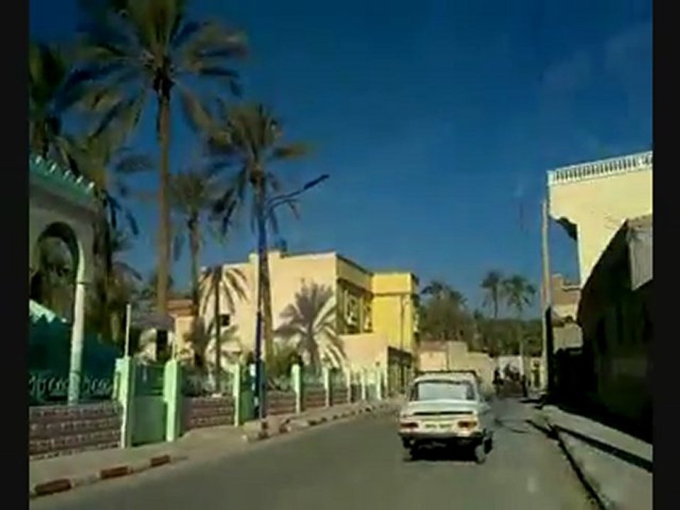 Tolga Algerie09 جولة في طولقة