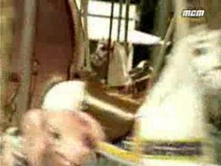 Calogero - Si seulement je ......