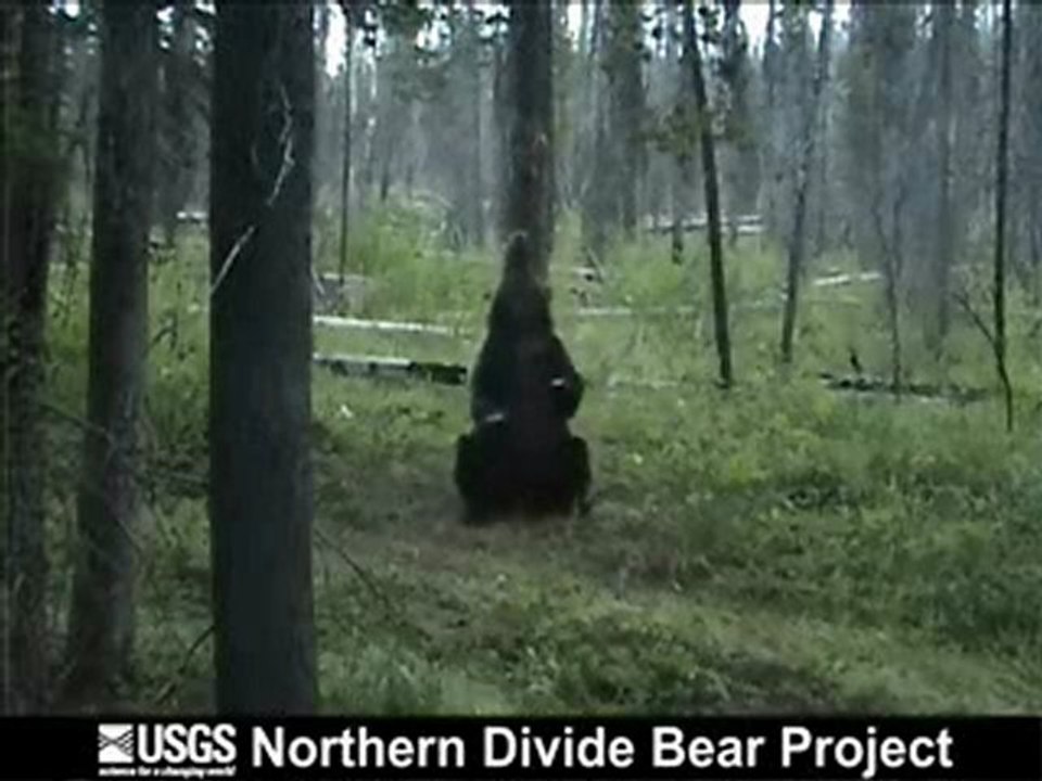 Wyoming_Pole_Dance