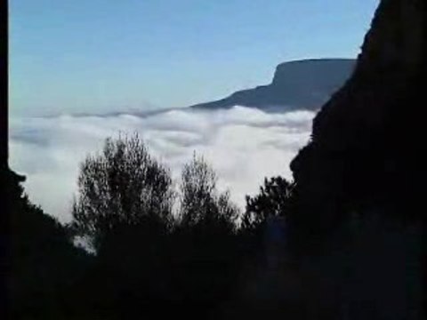 Filmpje over Zuid Afrika