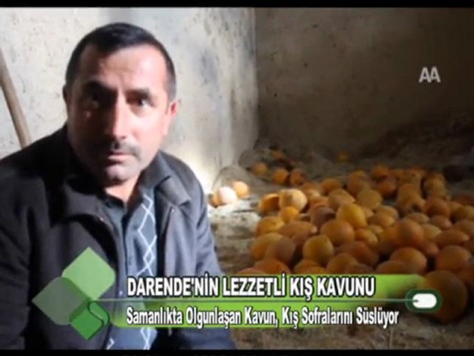DARENDE'NİN LEZZETLİ KIŞ KAVUNU 05.01.2012