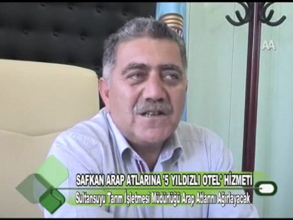 SAFKAN ARAP ATLARINA ‘5 YILDIZLI OTEL’ HİZMETİ 05.01.2012