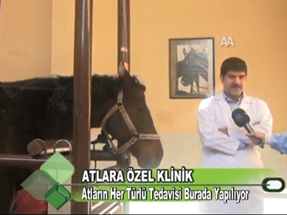 ATLARA ÖZEL KLİNİK 06.01.2012