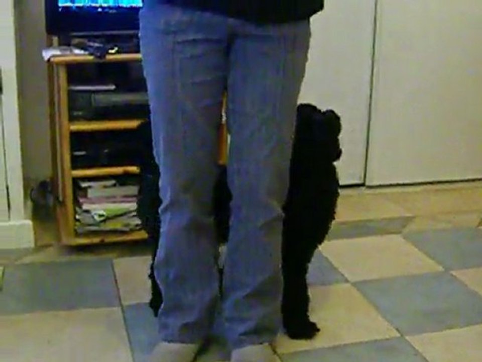 Cote demitour cercle avant et arriere